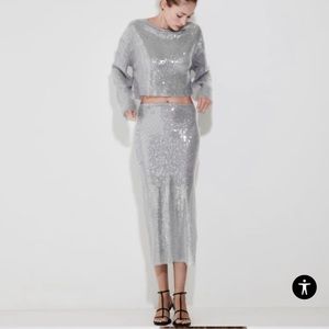 Zara Silver Sequin Midi Skirt